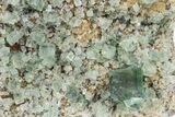 Fluorescent Green Fluorite Cluster - Lady Annabella Mine, England #235368-1